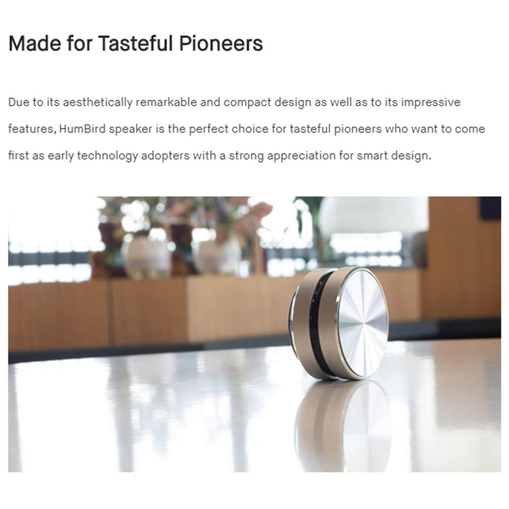Bone Conduction Speaker